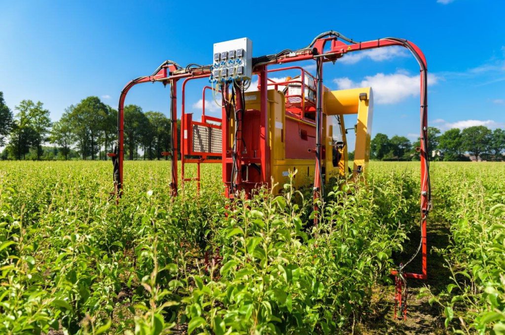 Weed control with LVS - Multitrike high clearance tractor for young avenue trees