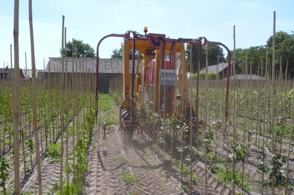 Weed control with LVS - Multitrike high clearance tractor for young avenue trees