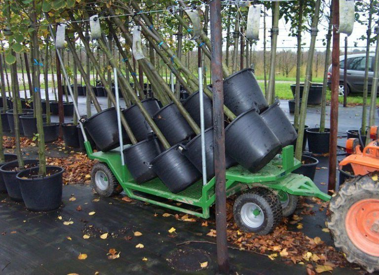 Tree transport trailer for small tractors