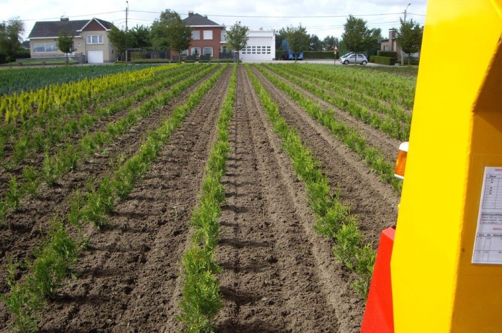 Result after hoeing - Multitrike high clearance tractor for shrubs and conifers