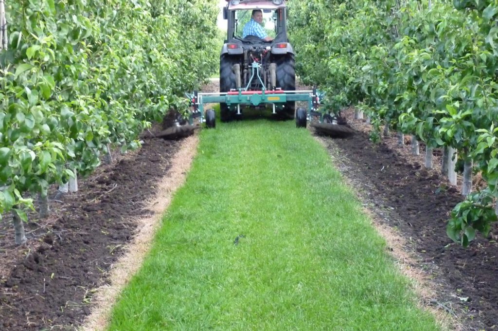 Roller hooks and finger weeders on SB compact frame