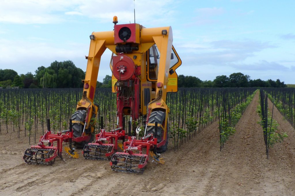 Hoeing with finger weeders row distance 90 cm - Multitrike high clearance tractor for fruit trees