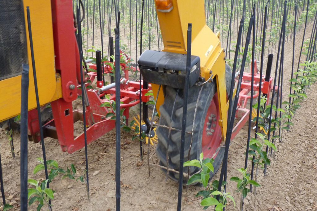 Hoeing with finger weeders row distance 90 cm - Multitrike high clearance tractor for fruit trees