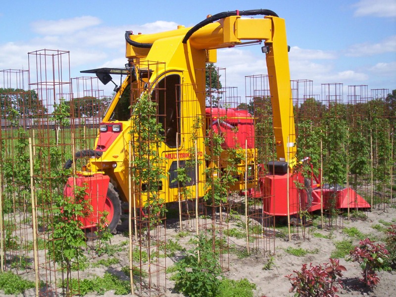 voor heesters en coniferen - Multitrike high clearance tractor for shrubs and conifers