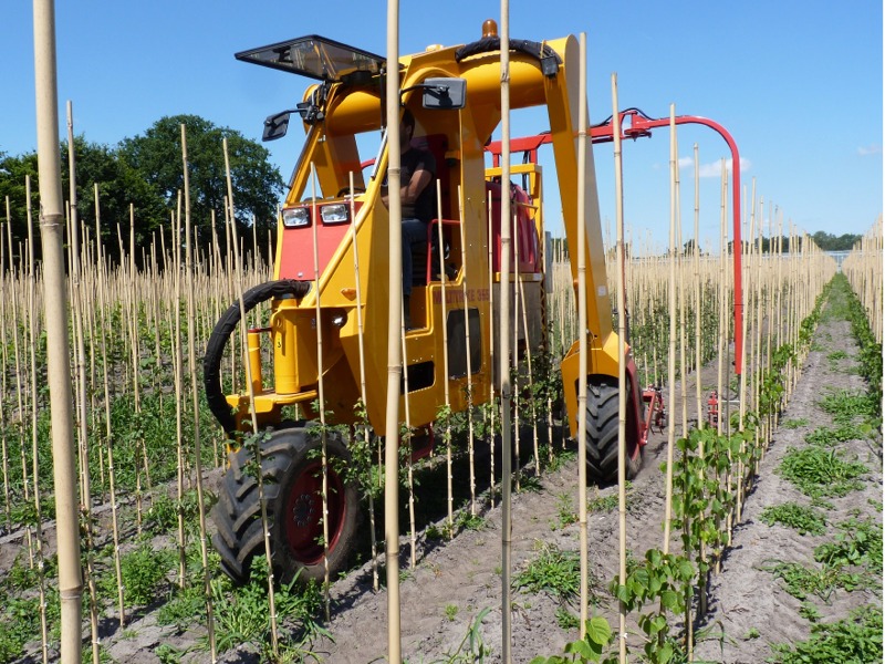 voor jonge laanbomen - Multitrike high clearance tractor for young avenue trees