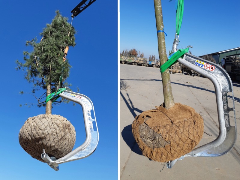 Is loading heavy rootballs dangerous? Not with the Damcon BLH-1000!