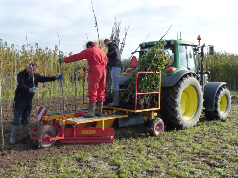Planting trees on GPS with a Damcon tree planter