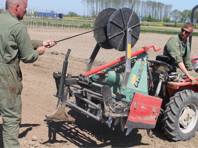 Drip irrigation in avenue trees in outdoor cultivation