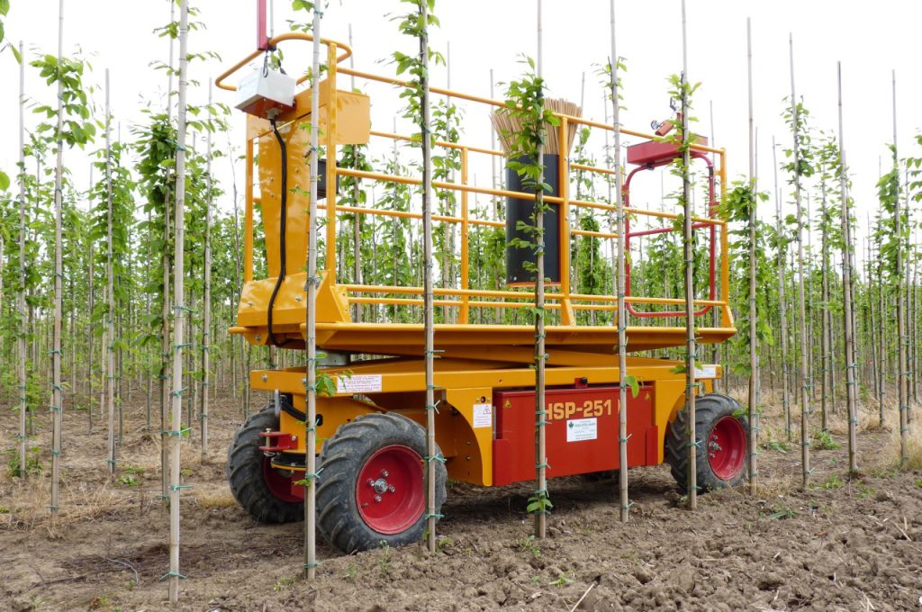 HSP-251 E electric pruning platform
