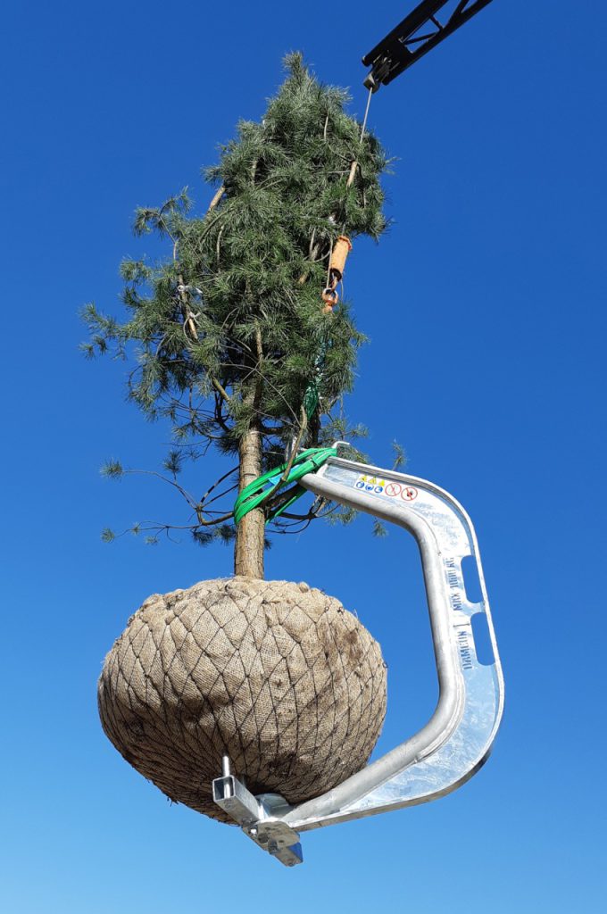 Rootball hook BLH-1000