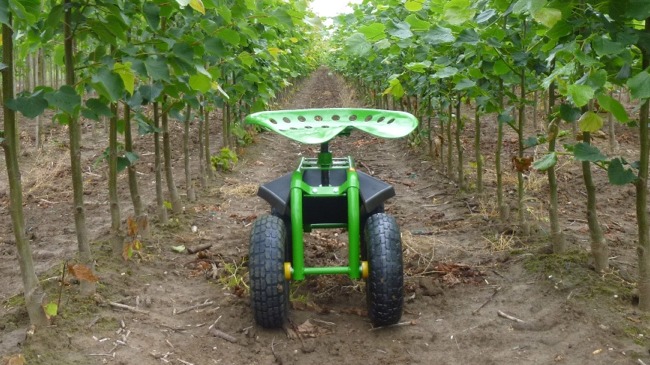 Damcon budding carts