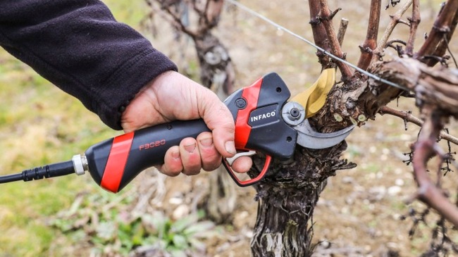 Damcon tree pruning equipment
