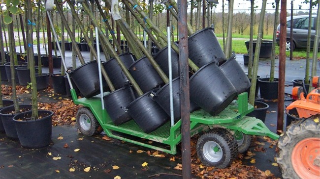 Tree transport equipment