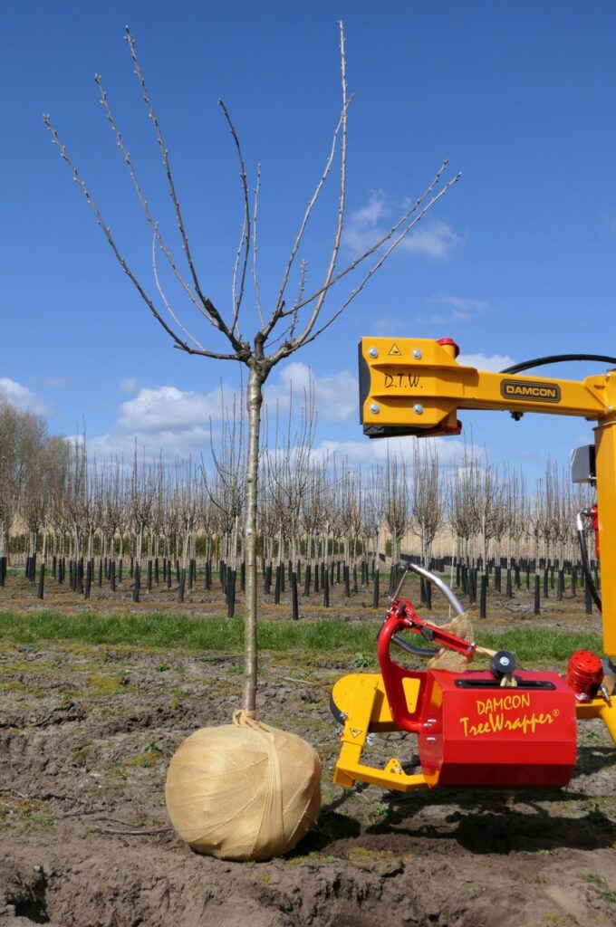 DTW-70 wrapping sand rootball