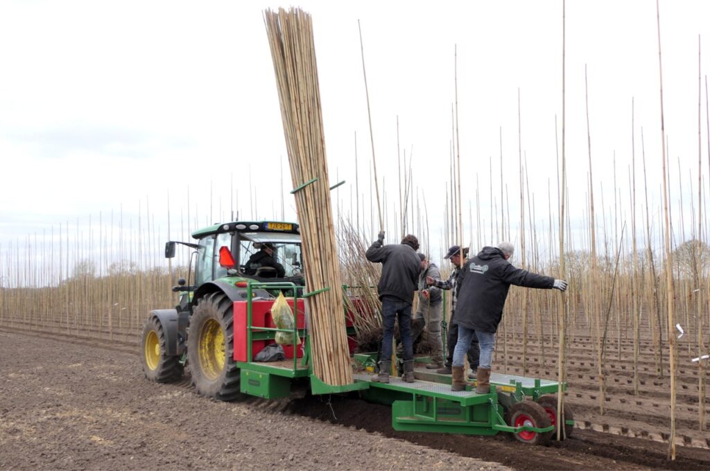 HSD-IW bamboo cane sprayer in tree planting machine