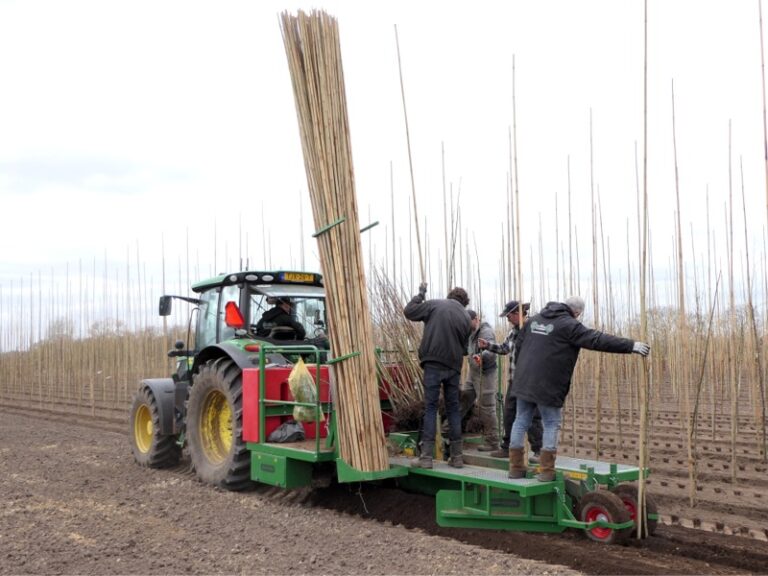 HSD-IW bamboo cane sprayer in tree planting machine category