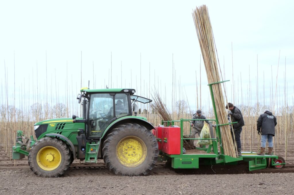 Making holes (with-water), planting and watering