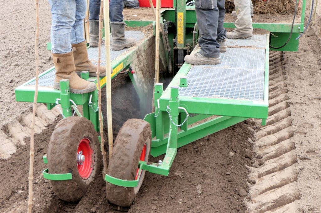 Making holes (with-water), planting and watering